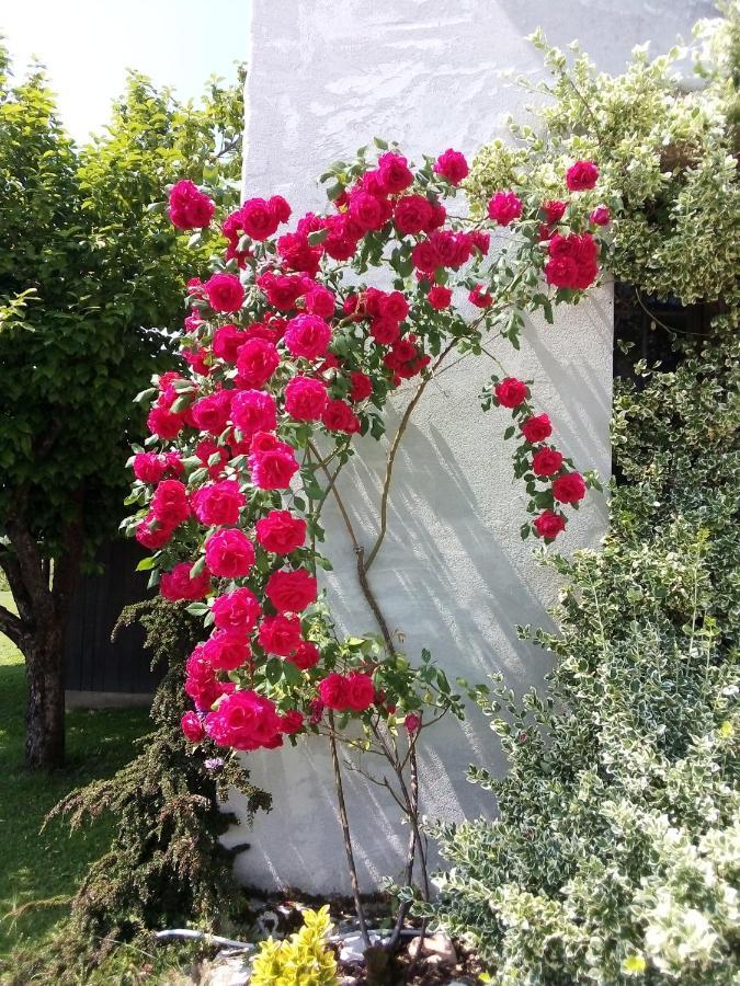 B&B La Casa Di Loretta Paderno ภายนอก รูปภาพ