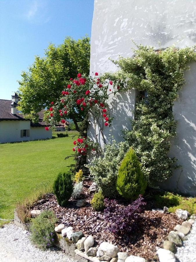 B&B La Casa Di Loretta Paderno ภายนอก รูปภาพ