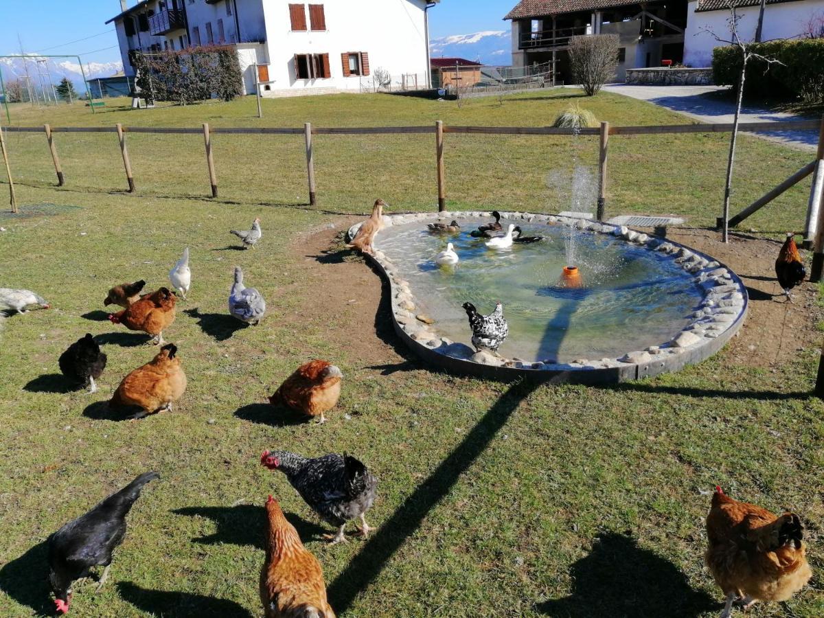 B&B La Casa Di Loretta Paderno ภายนอก รูปภาพ
